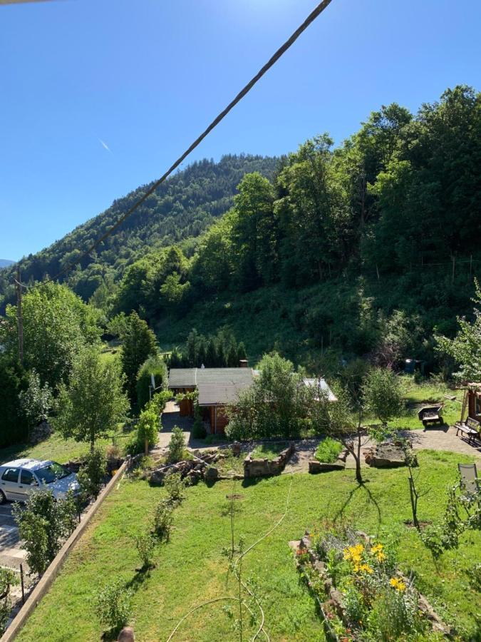 Chalet Rustique, 3Pieces, Jusqu'A 6 Personnes Urbès 외부 사진